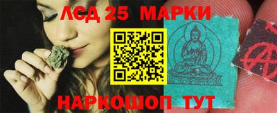 СК Краснодар