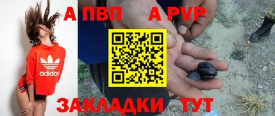 СК Краснодар