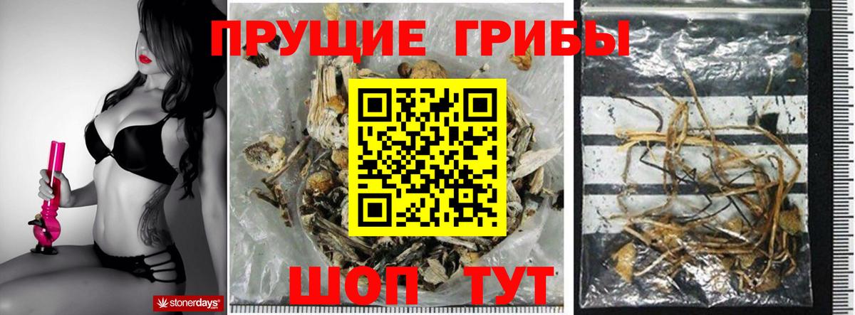 Ивантеевка  Галлюциногенные грибы мицелий  Вход с VPN 